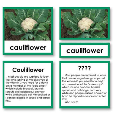 Botany-Plant Identification - Botany "Who Am I?" 3-Part Cards - Vegetable