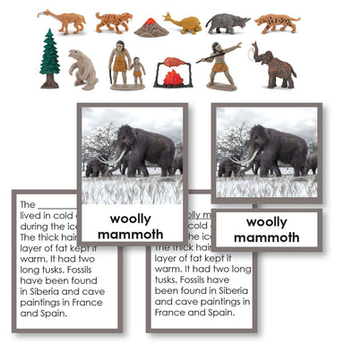 History Material-Prehistory - Prehistoric Life Historical Replica 3-Part Cards With Objects