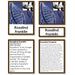 History Material-World History - Pioneering Women Of Science 3-Part Cards With Descriptions