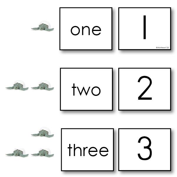 Math Materials-Numbers & Counting - Counting Set For Early Math - Cards And Counters