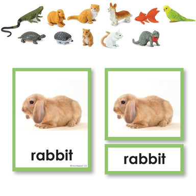Zoology-Animal Classification/ Identification - Pets 3-Part Cards With Objects