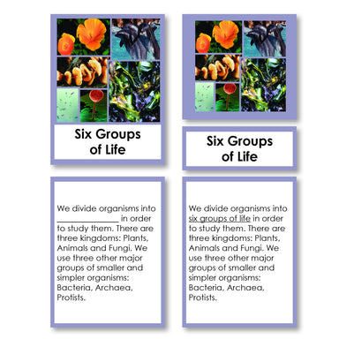 Zoology-Animal Classification/ Identification - Six Groups Of Life (kingdoms) Classification 3-Part Cards With Definitions