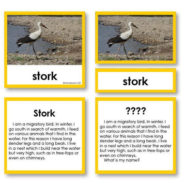 Zoology-Animal Classification/ Identification - Zoology "Who Am I?" 3-Part Cards - Birds