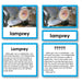 Zoology-Animal Classification/ Identification - Zoology "Who Am I?" 3-Part Cards - Fish