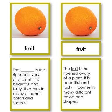 Botany-Parts Of Sets - Parts Of A Fruit 3-Part Cards With Definitions