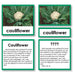 Botany-Plant Identification - Botany "Who Am I?" 3-Part Cards - Vegetable