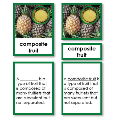 Botany-Types Of Sets - Types Of Fruit 3-Part Cards With Definitions