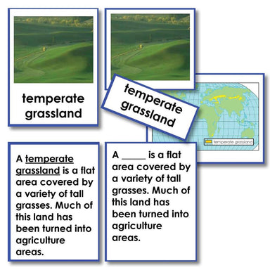 Geography Material-Landforms & Biomes - Biomes 3-Part Cards With Definitions