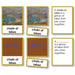 Geography Material-Landforms & Biomes - Landforms And Waterforms 3-Part Cards With Photos, Forms And Definitions