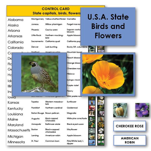 Geography Material-Study Of The United States - USA State Birds And Flowers With Photographs And Labels