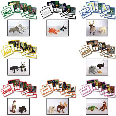 Geography Material-Study Of World Geography - Complete Collection Of 8 Geography Sets 3-Part Cards With Objects