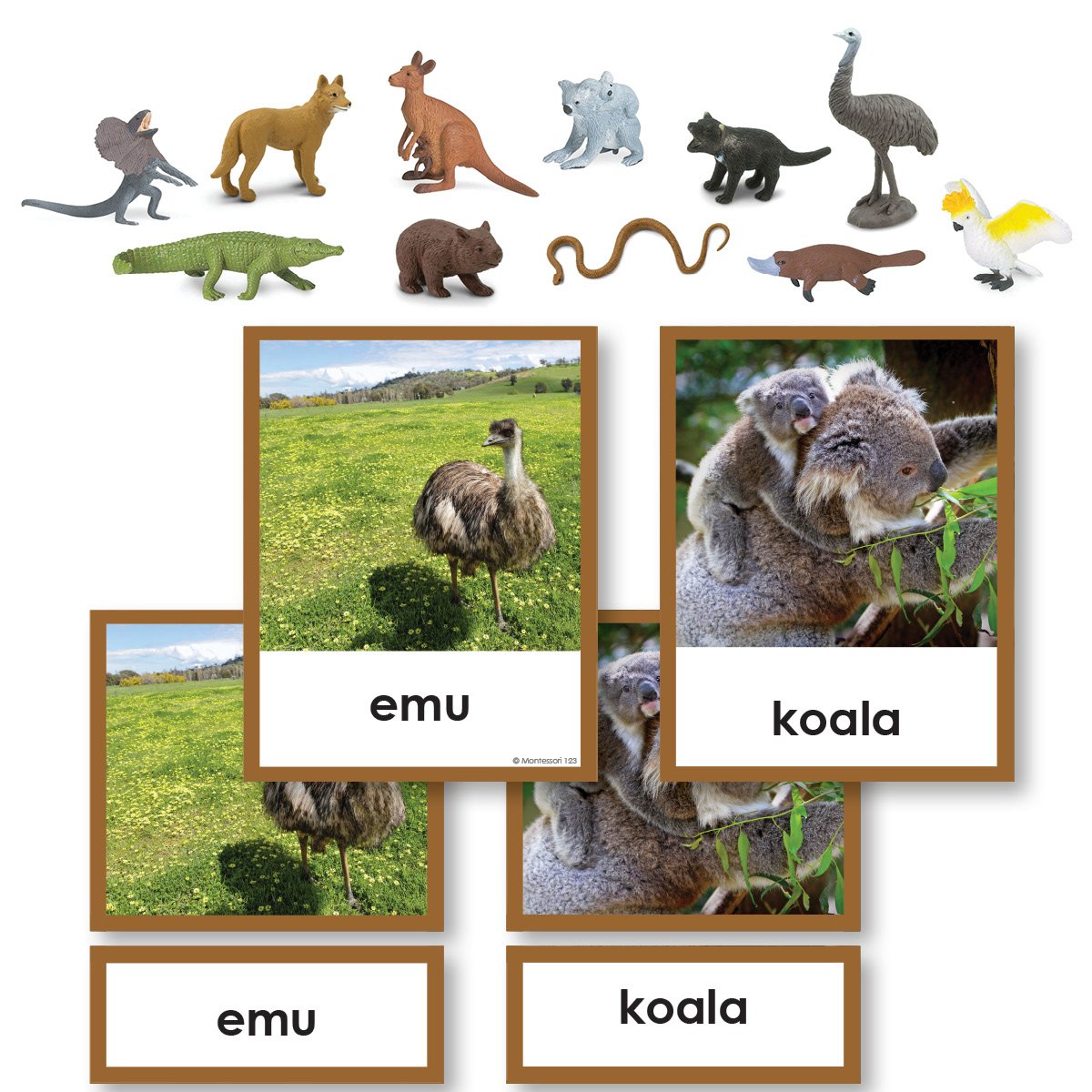 Geography Material-Study Of World Geography - Geography 3-Part Cards With Objects For Australia/ Oceania