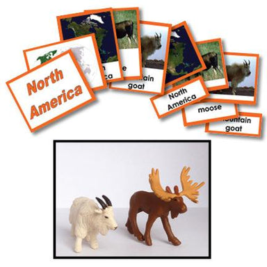 Geography Material-Study Of World Geography - Geography 3-Part Cards With Objects For North America