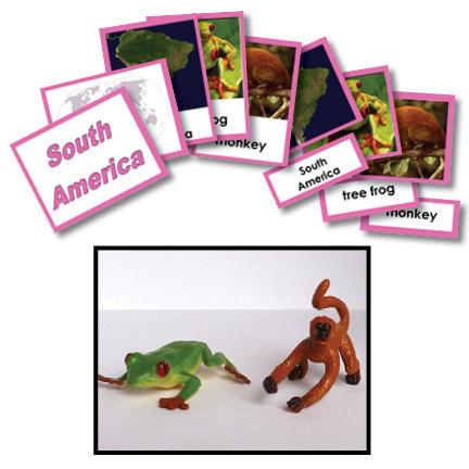 Geography Material-Study Of World Geography - Geography 3-Part Cards With Objects For South America