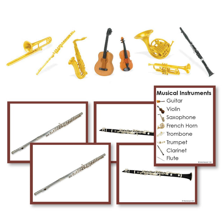 School Band Instruments List