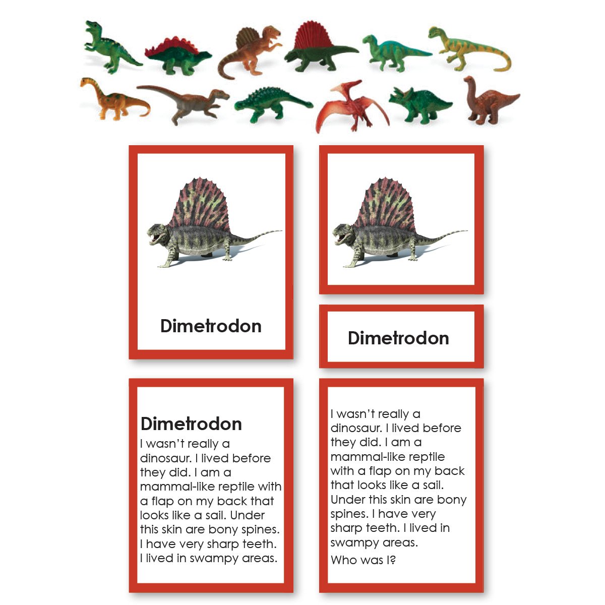 History Material-Prehistory - Dinosaur "Who Am I?" 3-Part Cards With Objects