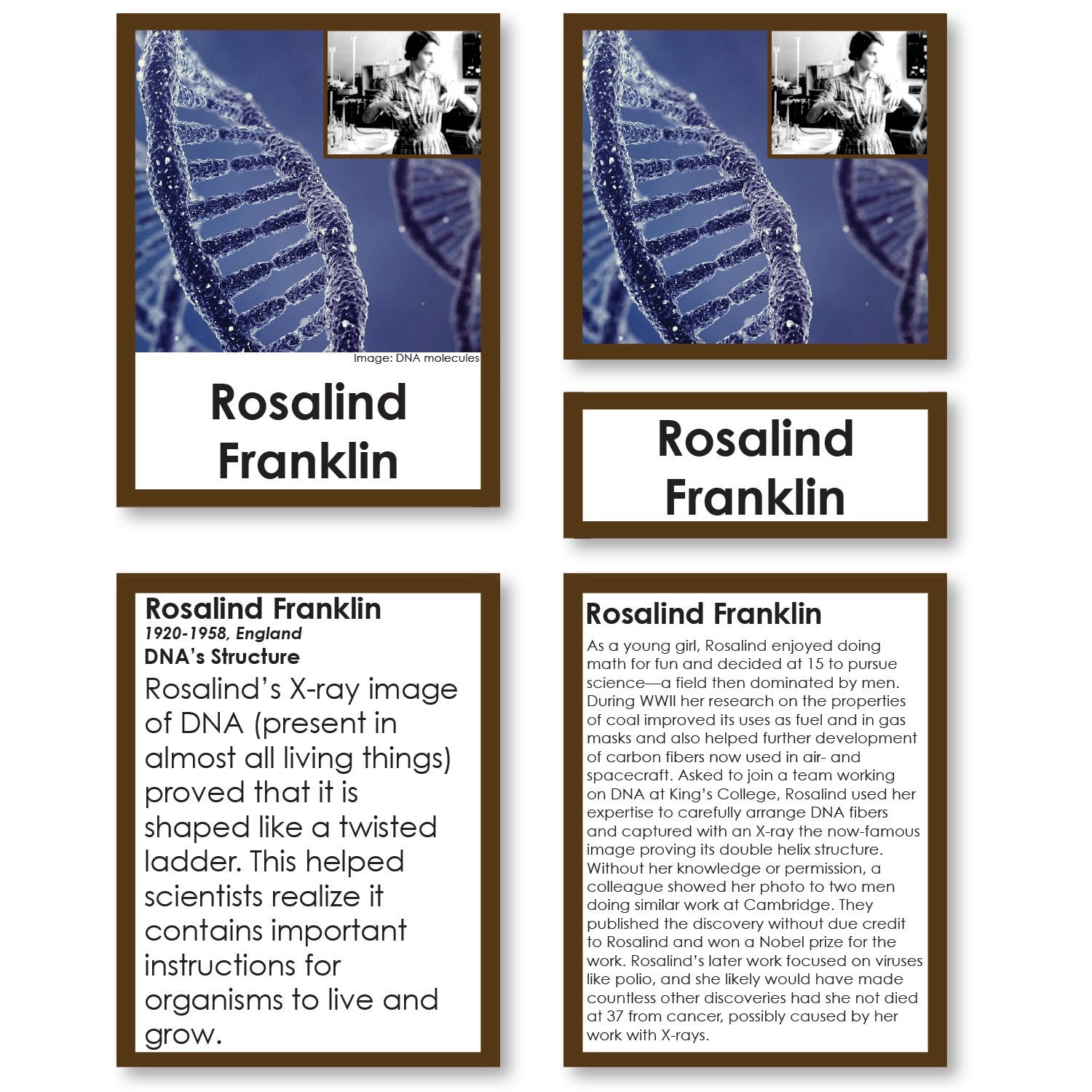 History Material-World History - Pioneering Women Of Science 3-Part Cards With Descriptions