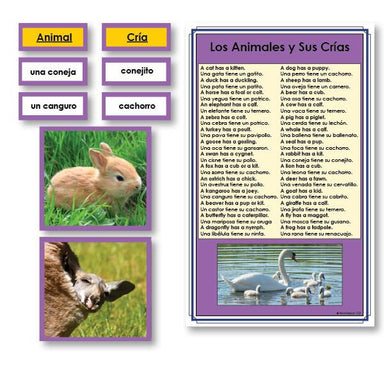 Language Arts-Spanish - Spanish Animals And Their Babies Vocabulary Sorting Cards With Photographs
