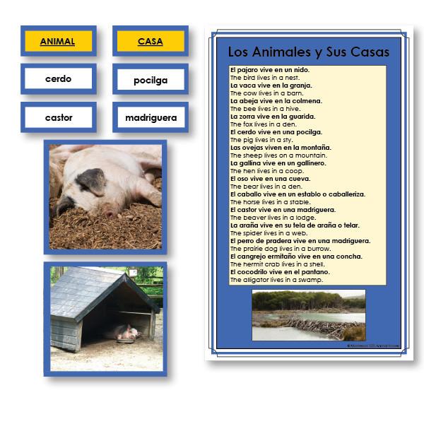 Language Arts-Spanish - Spanish Animals And Their Homes Vocabulary Sorting Cards With Photographs