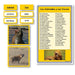 Language Arts-Spanish - Spanish Animals And Their Voices Vocabulary Sorting Cards With Photographs