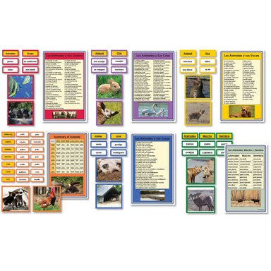 Language Arts-Spanish - Spanish Complete Collection Of Animal Vocabulary Sorting Cards