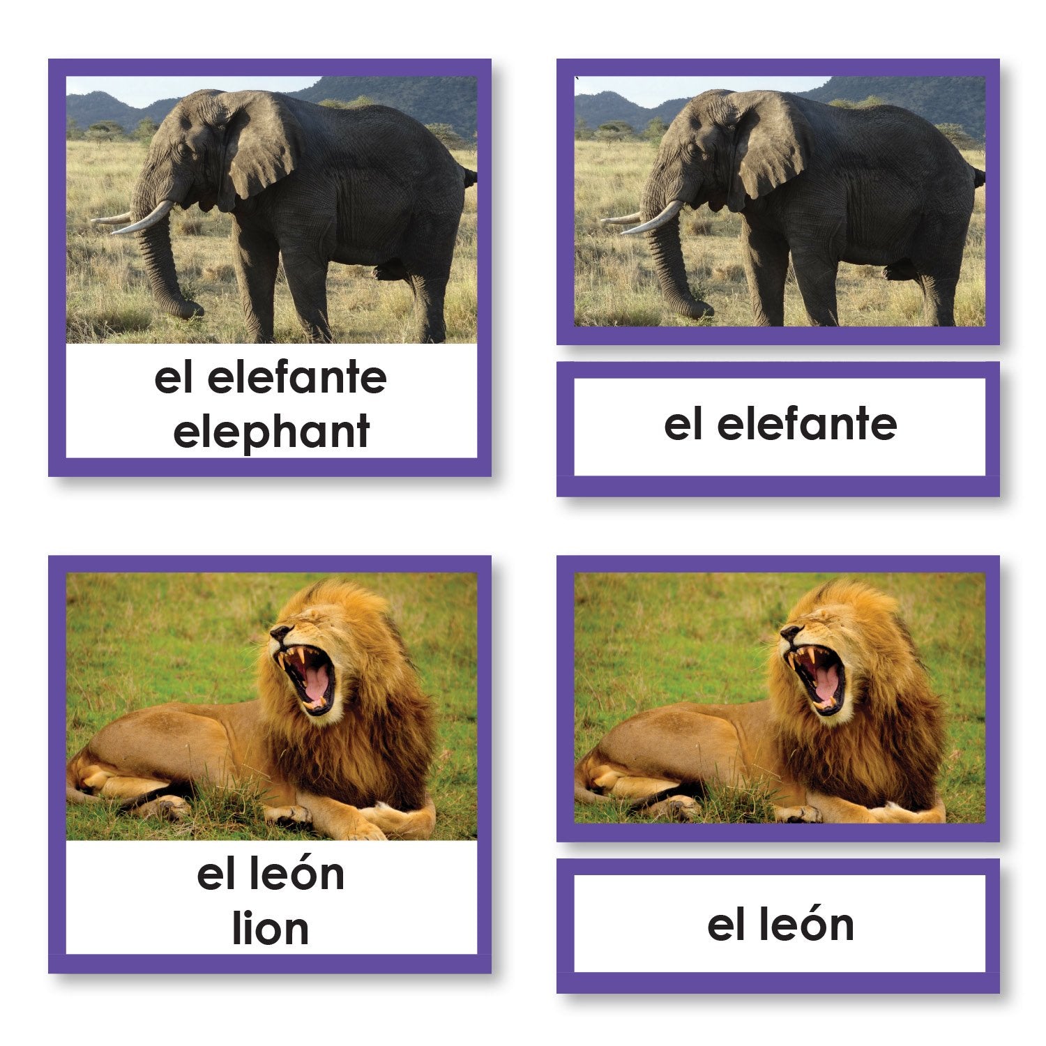 Language Arts-Spanish - Spanish Language Animals 3-Part Cards With Photographs