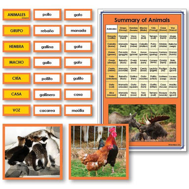 Language Arts-Spanish - Spanish Summary Of Animals Vocabulary Sorting Cards With Photographs