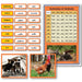 Language Arts-Spanish - Spanish Summary Of Animals Vocabulary Sorting Cards With Photographs