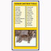 Language Arts-Vocabulary, Spelling & Editing - Animal Vocabulary Control Charts For Homes, Babies, Groups And More