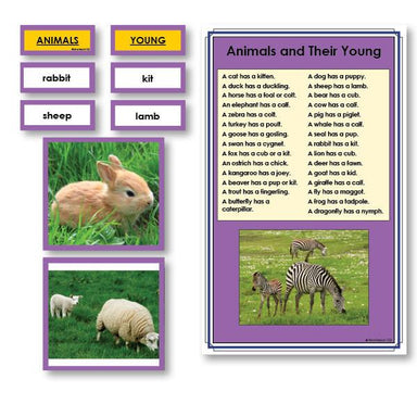 Language Arts-Vocabulary, Spelling & Editing - Animals And Their Babies Vocabulary Sorting Cards With Photographs