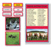 Language Arts-Vocabulary, Spelling & Editing - Animals And Their Groups Vocabulary Sorting Cards With Photographs