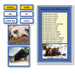 Language Arts-Vocabulary, Spelling & Editing - Animals And Their Homes Vocabulary Sorting Cards With Photographs
