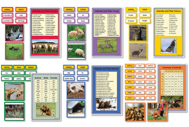 Language Arts-Vocabulary, Spelling & Editing - Complete Collection Of Animal Vocabulary Sorting Cards