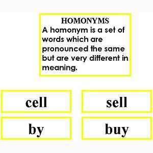 Language Arts-Word Study - Word Study: Homonyms - Matching Cards