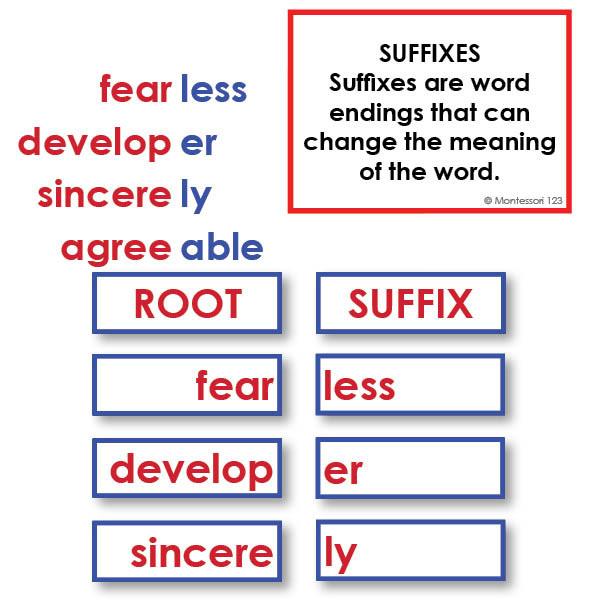 Language Arts-Word Study - Word Study: Suffixes - Matching Cards