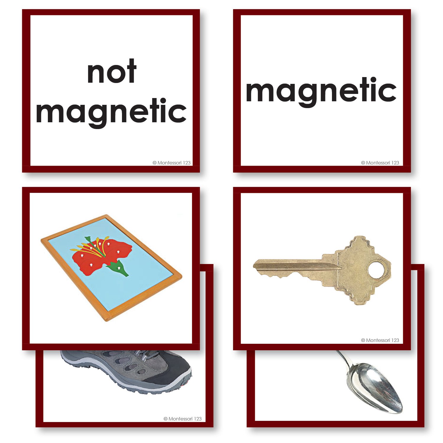 Magnetic Non-magnetic Photograph Sorting Cards | Montessori123 — Montessori