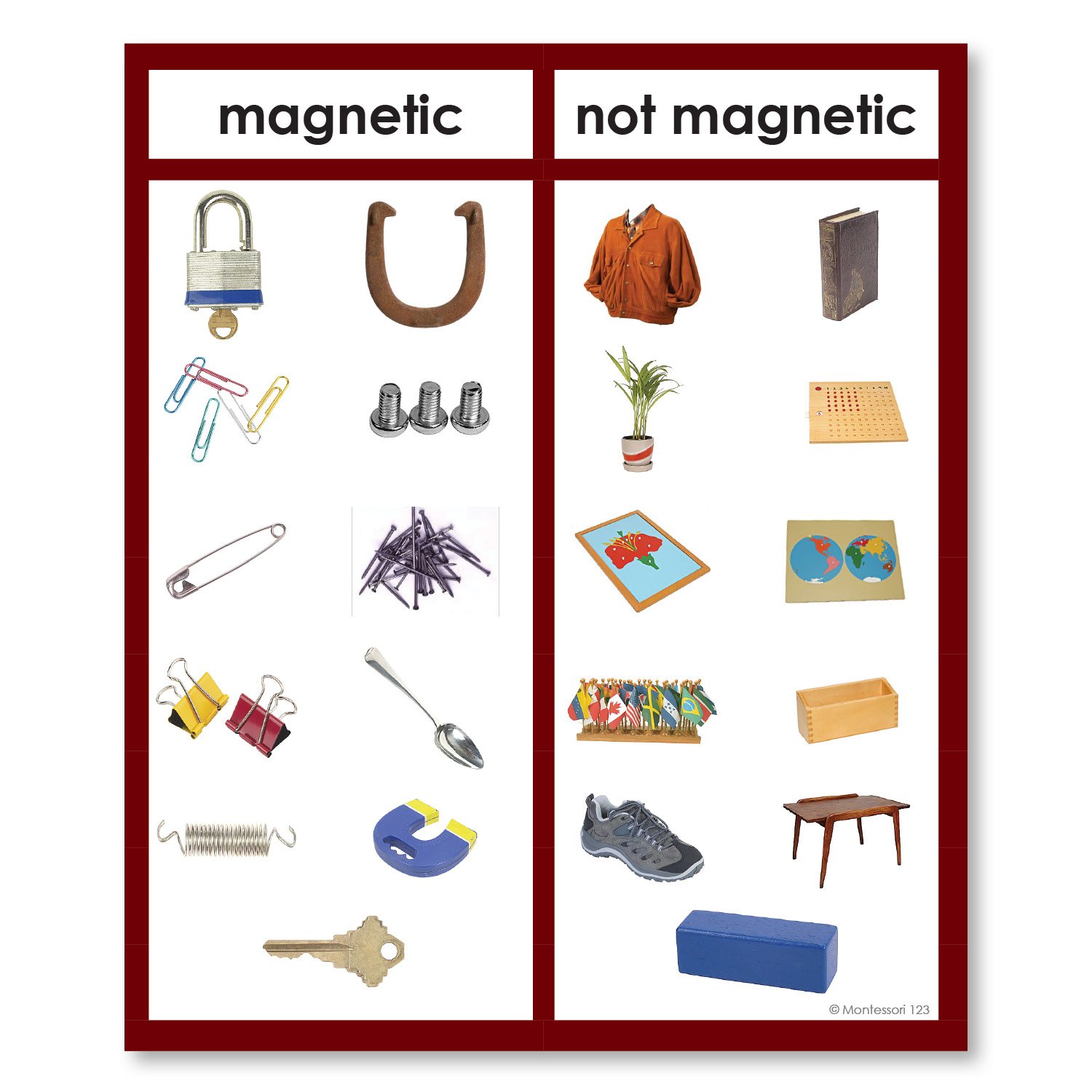 Magnetic Non-magnetic Photograph Sorting Cards | Montessori123 — Montessori