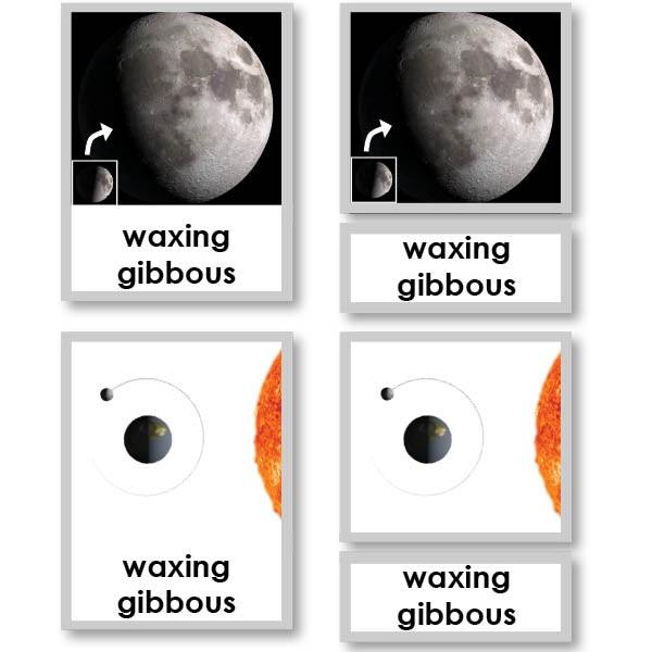 Physical Science-Physics/ Astronomy - Phases Of The Moon 3-Part Cards
