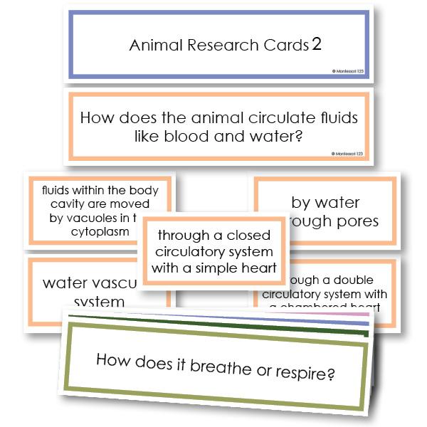 Zoology-Animal Classification/ Identification - Animal Research Classification Questions Level 2