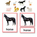Zoology-Animal Classification/ Identification - Farm Animals 3-Part Cards With Objects