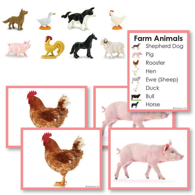 Zoology-Animal Classification/ Identification - Farm Animals Toddler Cards With Objects