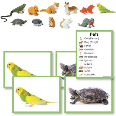 Zoology-Animal Classification/ Identification - Pets Toddler Cards With Objects