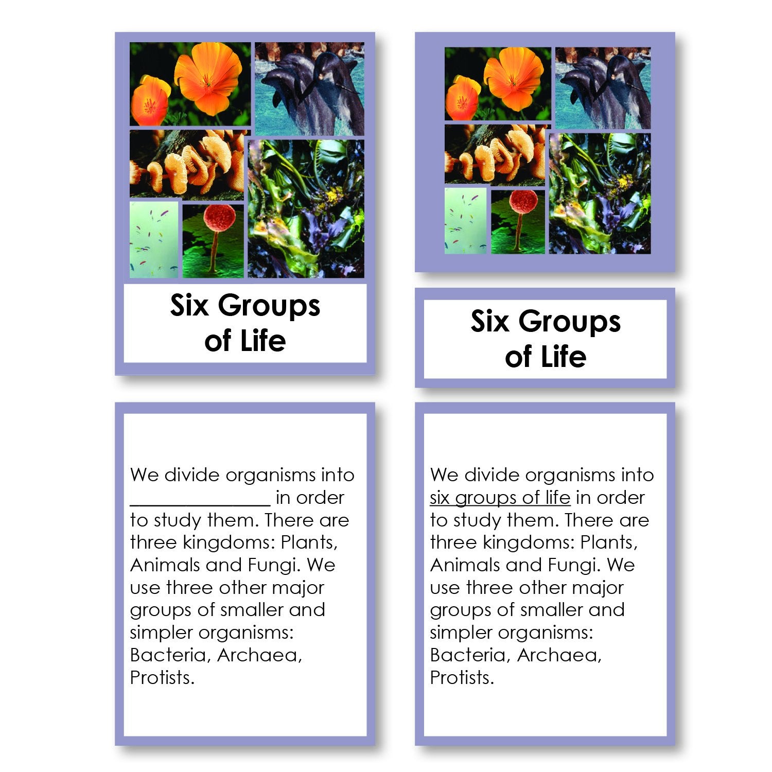 Zoology-Animal Classification/ Identification - Six Groups Of Life (kingdoms) Classification 3-Part Cards With Definitions