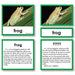 Zoology-Animal Classification/ Identification - Zoology "Who Am I?" 3-Part Cards - Amphibians And Reptiles