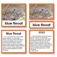 Zoology "Who Am I?" 3-Part Cards | Arctic Birds | Montessori123 ...