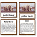 Zoology-Animal Classification/ Identification - Zoology "Who Am I?" 3-Part Cards - Arctic Mammals