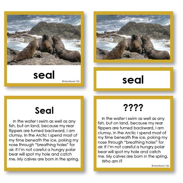 Zoology "Who Am I?" 3-Part Cards - Arctic Sea Life - Montessori 123