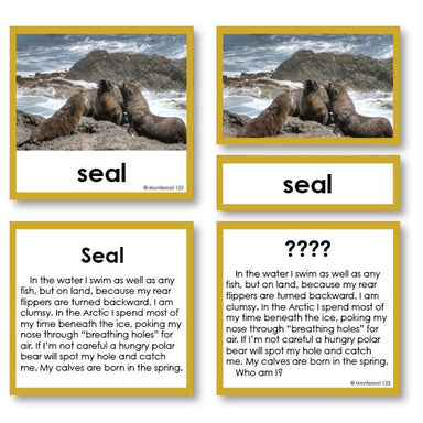 Zoology-Animal Classification/ Identification - Zoology "Who Am I?" 3-Part Cards - Arctic Sea Life