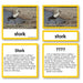 Zoology-Animal Classification/ Identification - Zoology "Who Am I?" 3-Part Cards - Birds