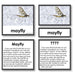 Zoology-Animal Classification/ Identification - Zoology "Who Am I?" 3-Part Cards - Insects